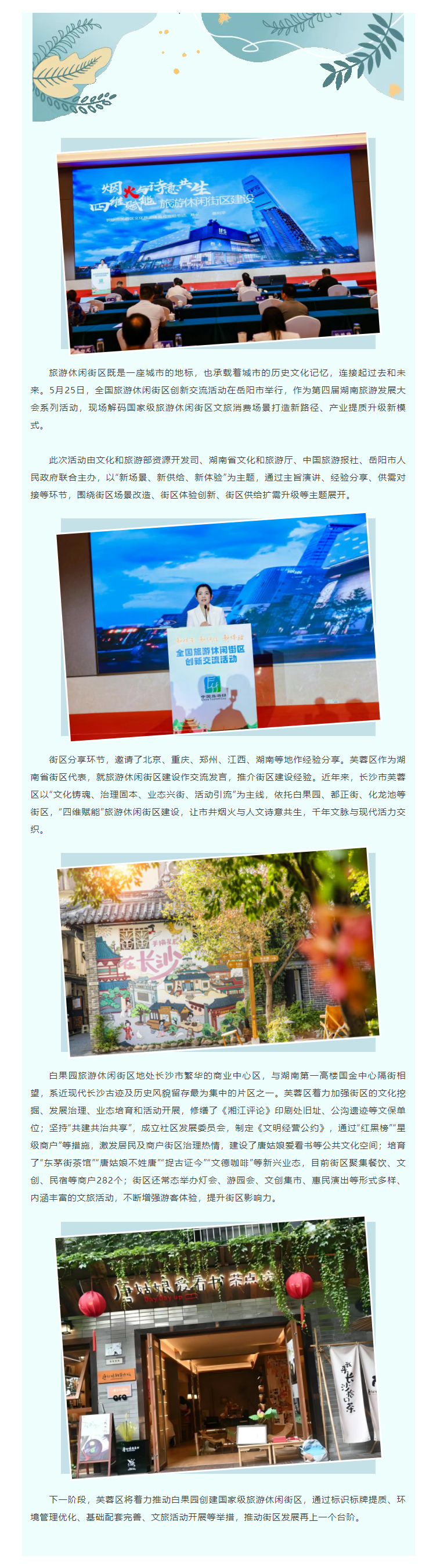 ccac8b76-214e-4cf1-882a-91e44bb0575e.png