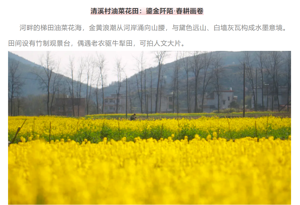1745201580399.png